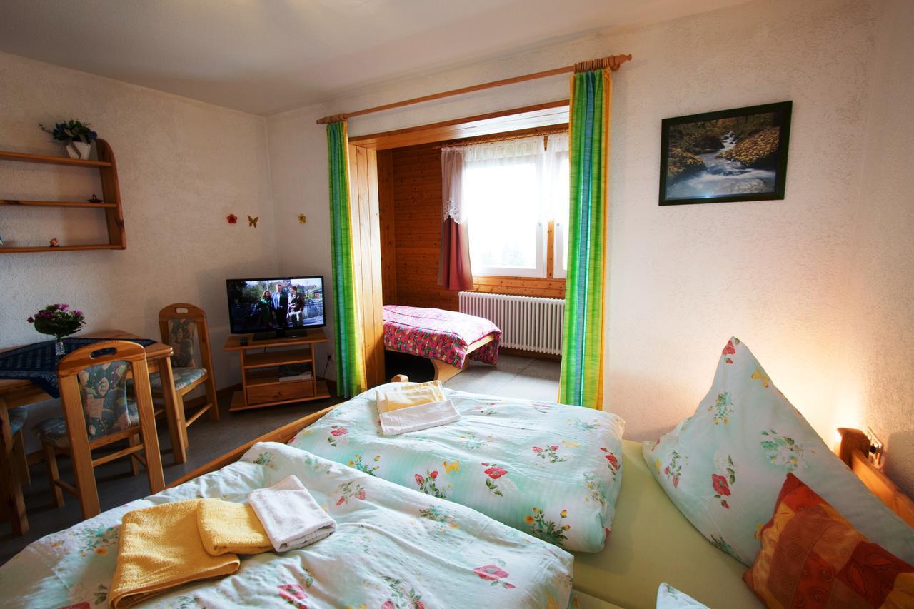 Berggasthof-Pension Todtnauer Huette Feldberg (Baden-Wurttemberg) Room photo